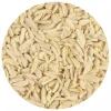 New BrandNewCake Amandelstiften 1kg