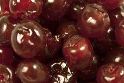 Royal Steensma Bigarreaux Rood (E120) 20-22mm 1 kg