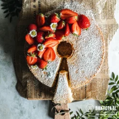 Sale BrandNewCake Wijnsteenzuur 100gr.