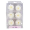 Clearance Culpitt Suikerdecoratie Madeliefjes 12st.