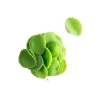 Clearance Dobla Chocoladedecoratie Blaadjes Mini Groen (1kg)