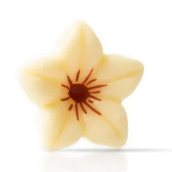 Discount Dobla Chocoladedecoratie Bloemetje Wit (76 stuks)