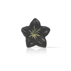 Online Dobla Chocoladedecoratie Bloem Donker (76 stuks)**