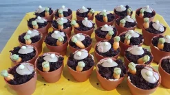 Outlet Dobla Chocoladedecoratie Bloempot Large (28 stuks)