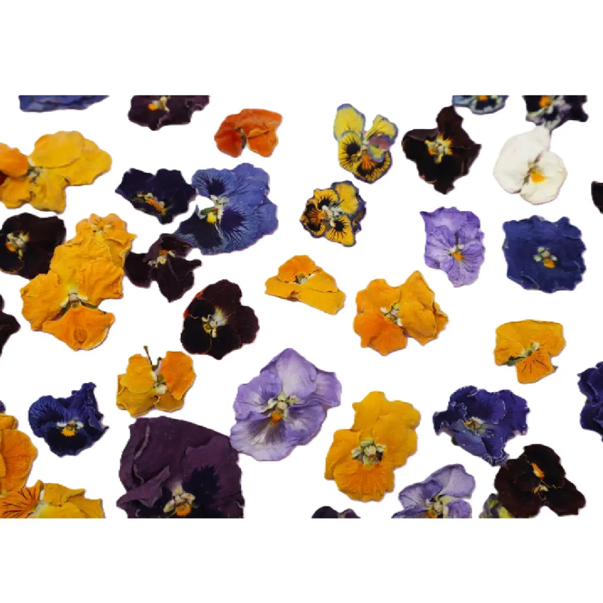 New Overig Eetbare Gedroogde Viooltjes (50 stuks)