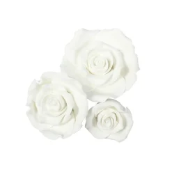 Best Culpitt Fondant Rozen Wit Assortiment 12 stuks