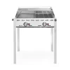 Best Hendi Green Fire 2 branders incl. bakplaat + GN 1/1 rooster