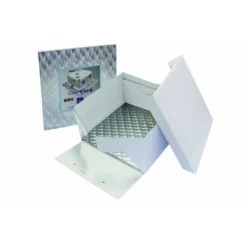 Best PME Cakeboard en doos vierkant 25x25x15 cm