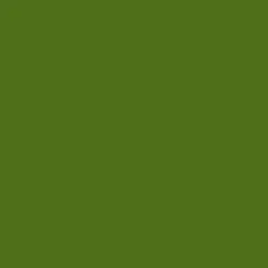 Discount PME Natuurlijke Kleurstof Donker Groen 25g