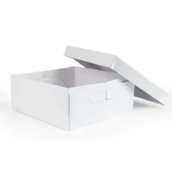 Best PME Taartdoos 20x20x15cm