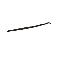 Discount Royal Vanilla Royal Vanillestokje Bourbon Biologisch 1st. (ca. 3gr)