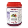 Outlet Saracino Smaakpasta Bosvruchten 1kg
