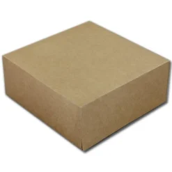 Discount BrandNewCake Taartdoos 19x19x8cm. Kraft 3st