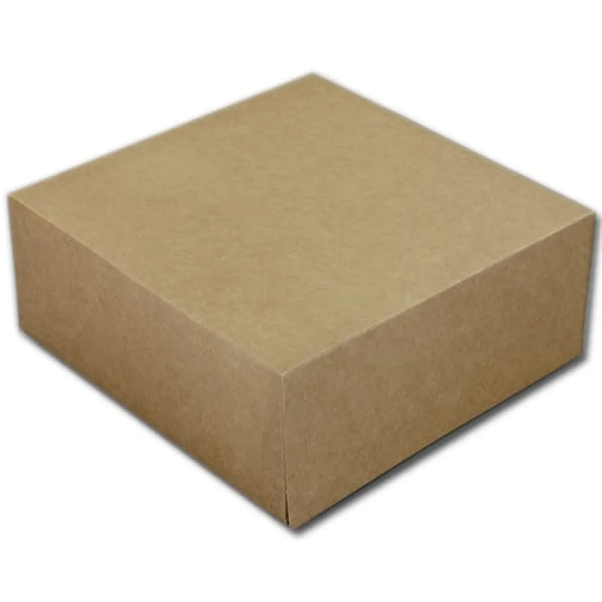 Discount BrandNewCake Taartdoos 19x19x8cm. Kraft 3st