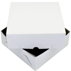 Outlet Overig Taartdoos Zwanenhals 25x25x9cm. Wit 100st