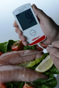 Online Ebro Thermometer Digitaal Geijkt -30 tot +200ºC TTX200