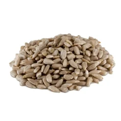 Best BrandNewCake Zonnebloempitten 250g
