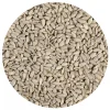 BrandNewCake Zonnebloempitten 3kg