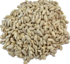 Best Overig Zonnebloempitten 1kg